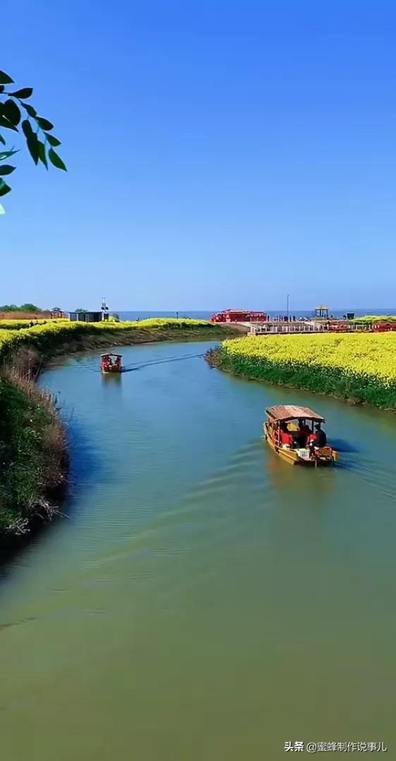 适合做微信头像的花朵图片，微信头像风景花朵图片     春暖花开（春暖花开的季节，美如仙境）