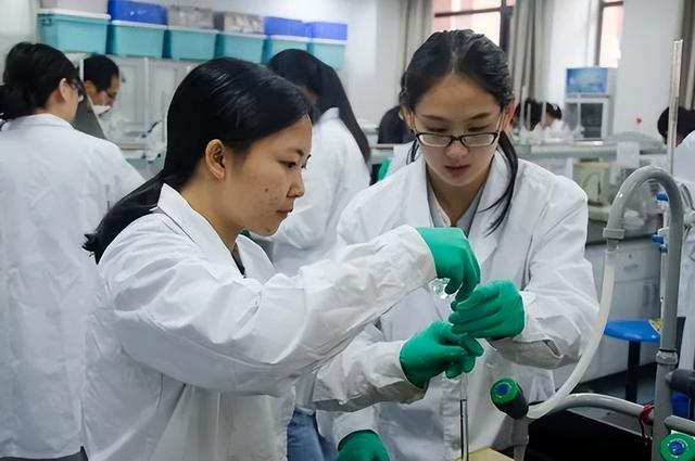 专硕可以考博吗，会计专硕可以考博士吗（学硕和专硕的差距有多大）