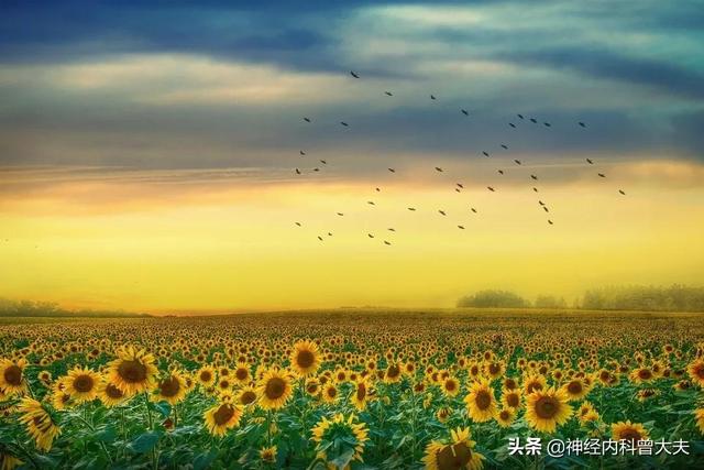 脑梗吃什么东西可以恢复的快，脑梗吃什么恢复得快（医生建议做对三件事便能恢复得好）