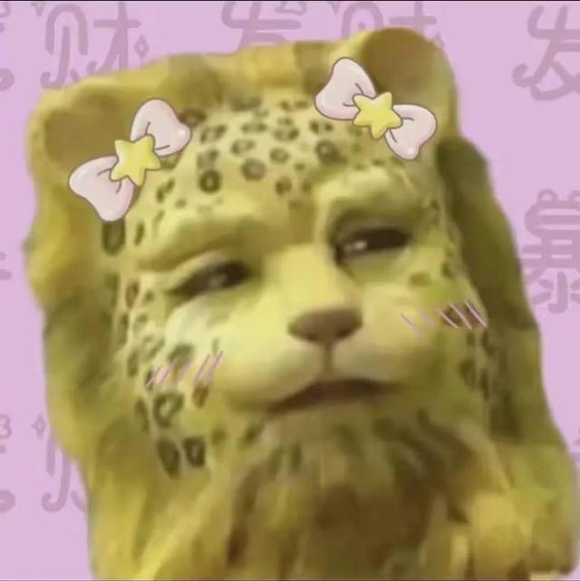 金钱豹头像图片，金钱豹头像✨微信（最全金钱豹头像！请叫我谢谢）