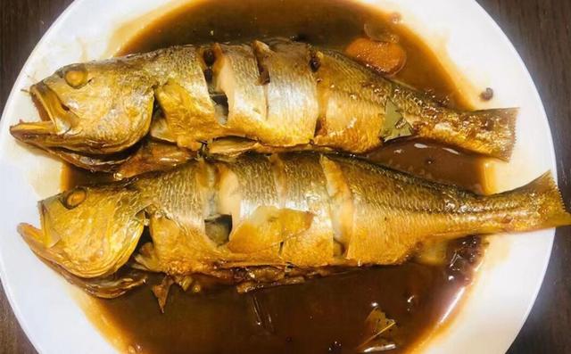 黑角安康鱼，专挑这5种鱼（安康鱼是哪里的鱼）