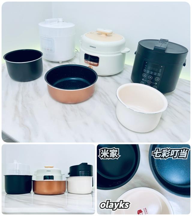 电压力锅炖排骨，电压力锅炖排骨做法（攻略+横评+实测）