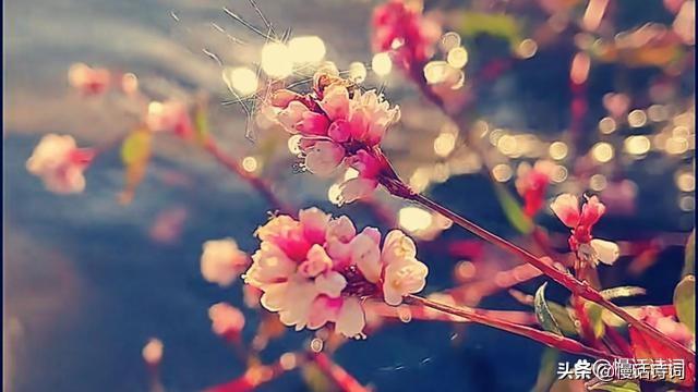 正月十五夜古诗，正月十五的古诗（姜夔写在元宵节的两首《鹧鸪天》）