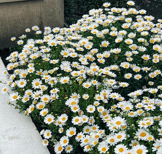 分别时不舍的优美话语，离别不舍的唯美句子（关于离别的绝美文艺描写句子）