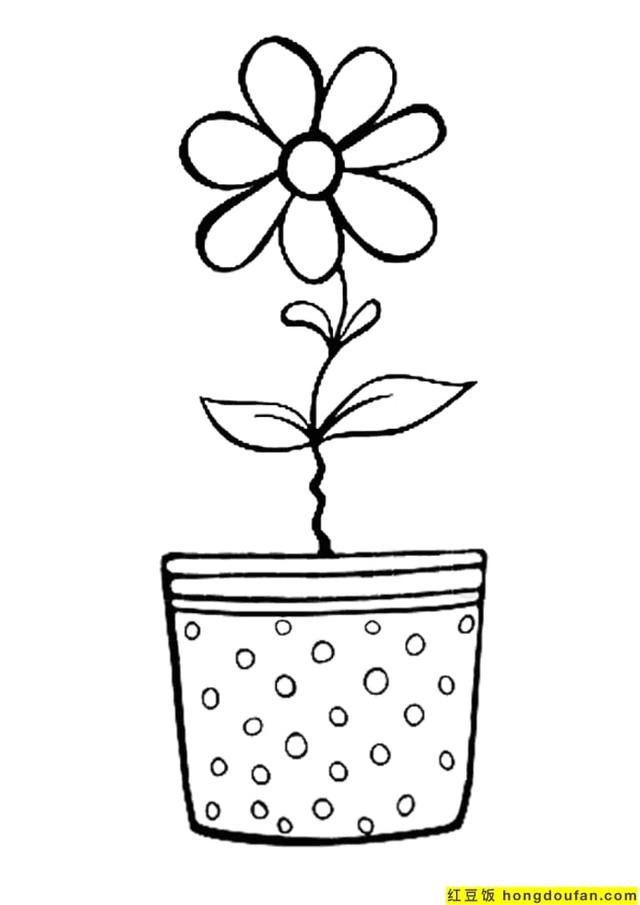 漂亮的花瓶怎么画，漂亮的花瓶怎么画 儿童画（10张漂亮的花瓶要如何画）