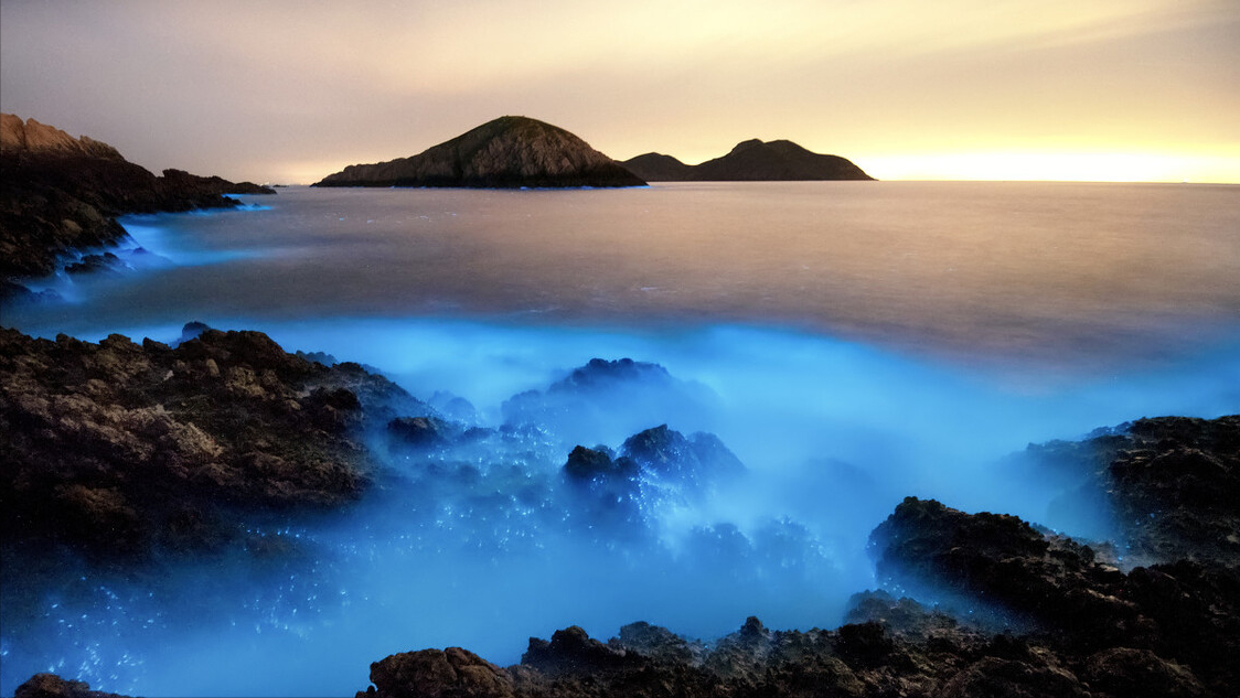 蓝眼泪海滩位于平潭岛在哪里，平潭岛旅游景点介绍蓝眼泪（福州平潭追“泪”打卡点）