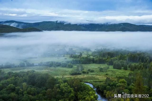 亡羊补牢是什么生肖，亡羊补牢为时已晚（盘点成语里的十二生肖）