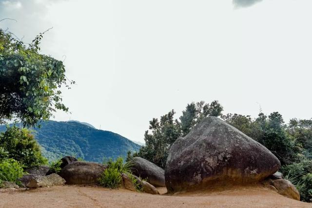 深圳旅游景点大全介绍，深圳的旅游景点有哪些地方（来深圳这10个地方玩吧）