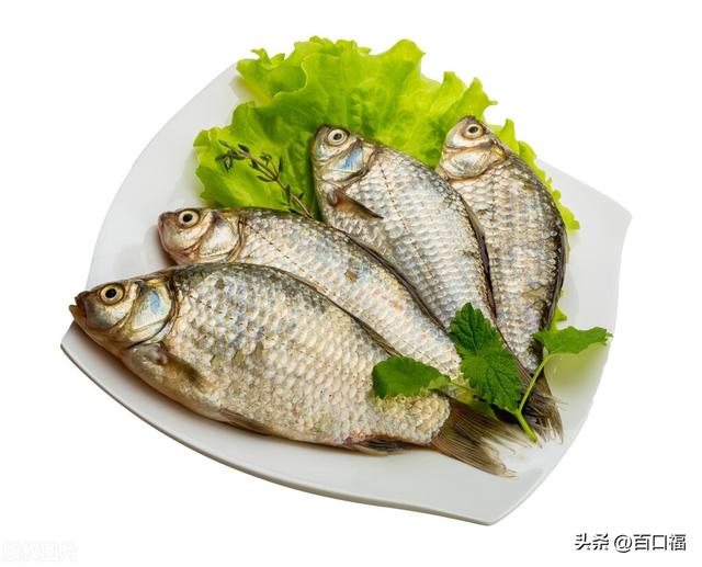 酸菜鲫鱼汤的做法，钓到鲫鱼怎么烹饪-钓鱼人的快乐