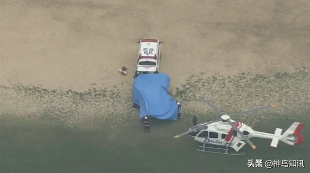 日本历任首相名单，日本首相一览表（一文回顾日本前首相安倍晋三政治生涯）