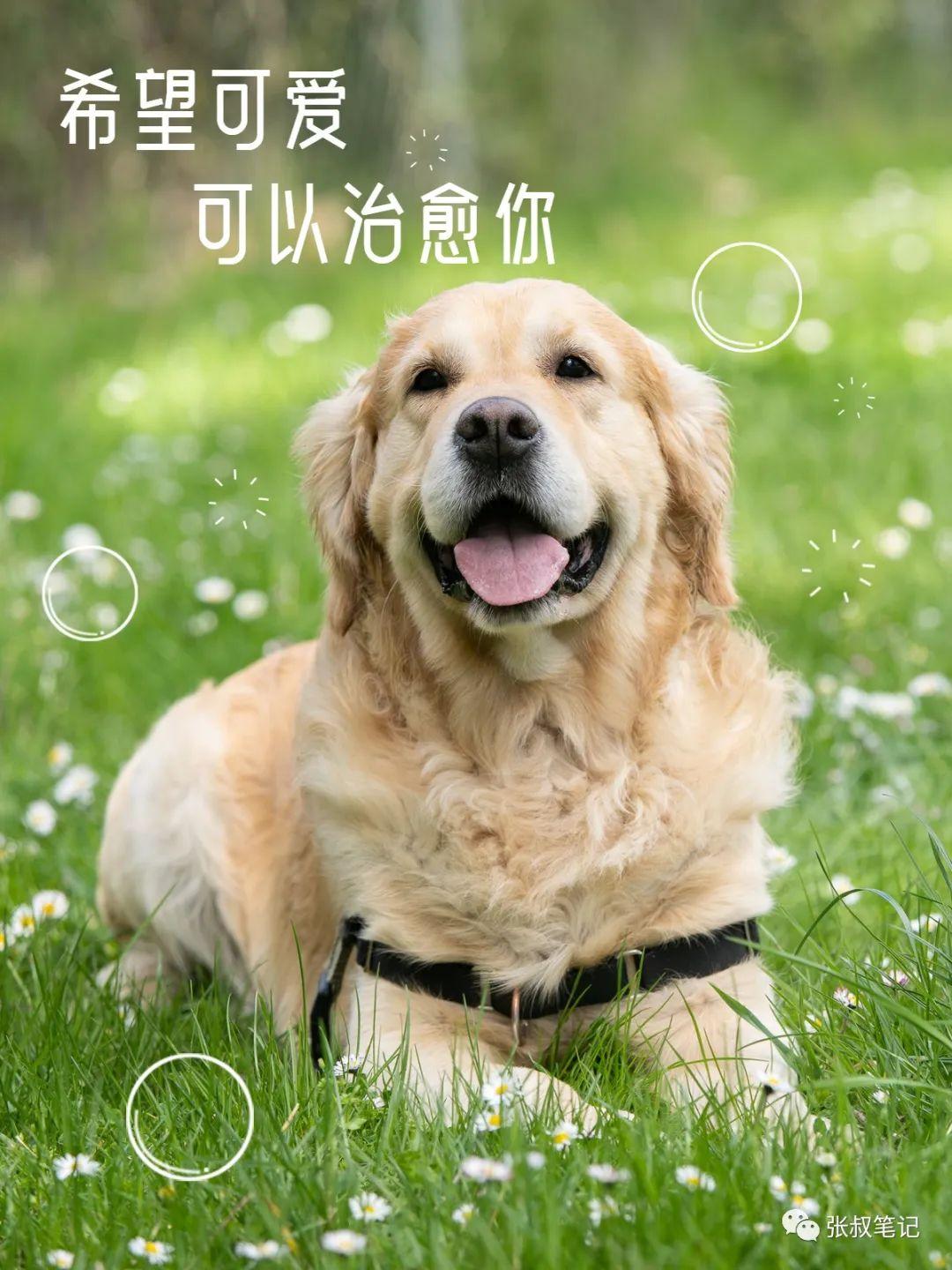 如何发抖音(怎么做抖音短视频教程)