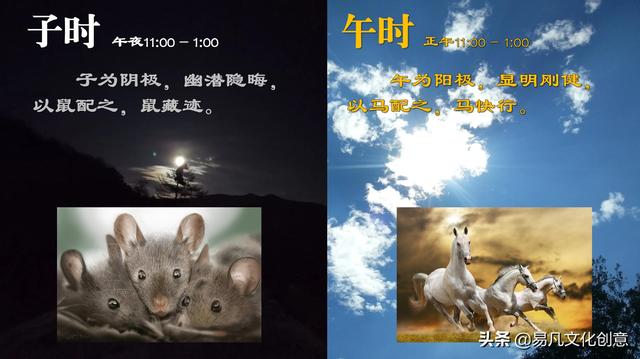 十二生肖什么肖是喜肖，十二生肖什么肖是喜肖（明确阐述了十二生肖动物的搭配原理）