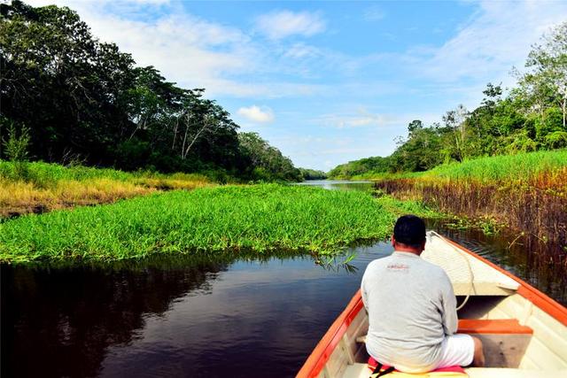 亚马逊河在哪里，亚马逊河在哪里（充满危险生物的亚马逊河有多可怕）