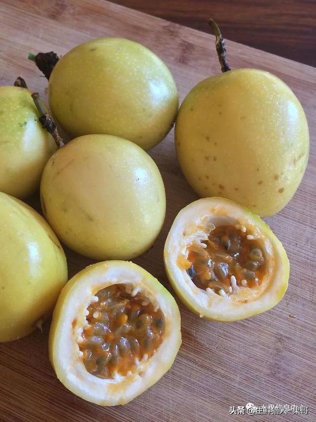 passion fruit是什么水果（土豪百香果，一斤100元）
