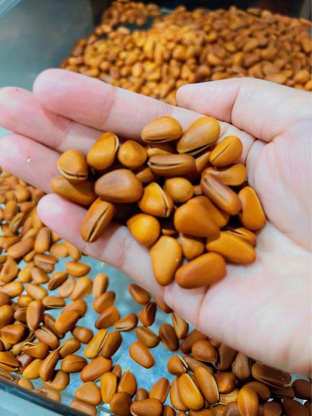 银耳多少钱一斤，黄金银耳的种植前景（盘溪批发市场给的）