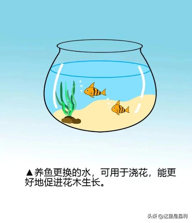 节约用水的内容怎么写，节约用水的内容怎么写100字（节约用水从我做起）
