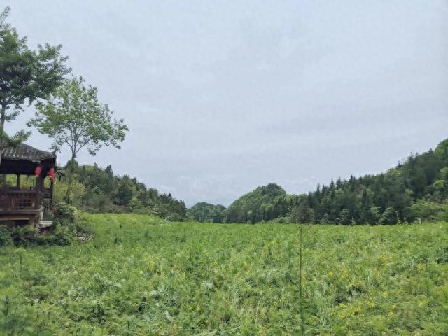 美了美了，藏在恩施山中的美景