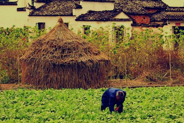 人穷的句子怎么写发朋友圈，穷发个朋友圈怎么说（怎样用一句诗词说明“我很穷”）