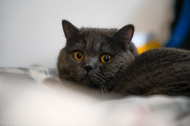 一些情话绵绵的句子，一些情话绵绵的句子怎么说（浪漫不油腻的情话文字）