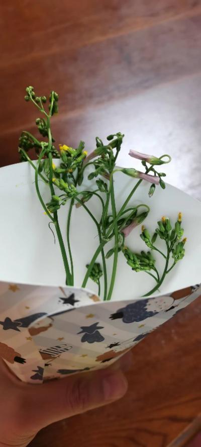 生日送什么礼物好，老人生日送什么礼物好（他都送你啥礼物）