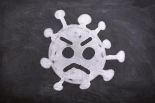 长期吃胡萝卜好吗，长期吃胡萝卜对你的身体有哪些影响