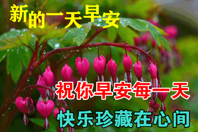 早晨充满正能量的句子，早上优美正能量句子（早上好说说语录图片）