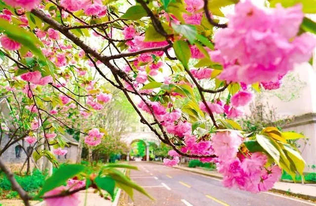 湖北生物工程学院，武汉生物工程学院怎么样（武汉生物工程学院2022年专科报考指南发布）