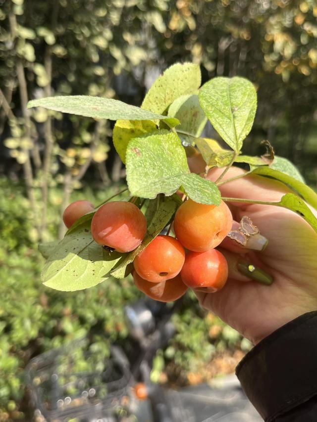 灵魂相似的人一旦相逢，灵魂相似的人一旦相逢是知心朋友（总有一天会在路上相逢）
