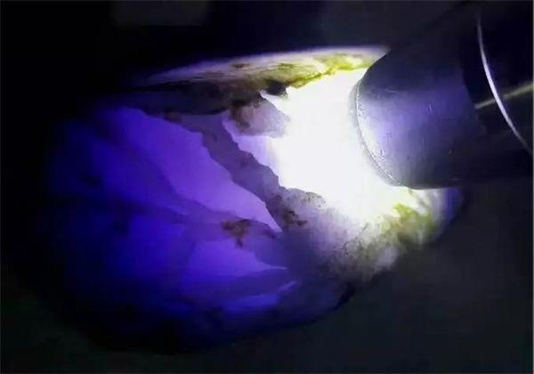 帝王紫和帝王绿翡翠哪个好，红翡翠和帝王绿哪个比较值钱（10万块钱买来的翡翠原石）