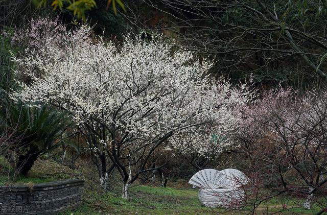 宁波旅游攻略景点必去，宁波旅游攻略三日游（宁波冬天必打卡的7个地方）