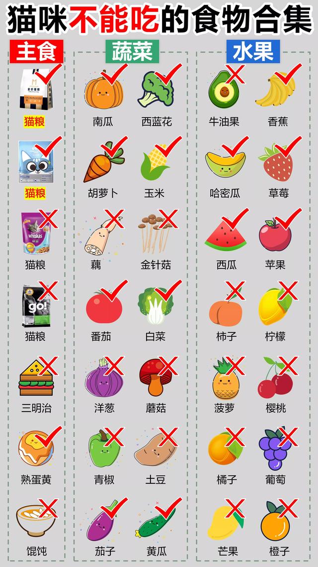 猫可以吃樱桃吗，猫咪可以吃些什么水果（看看哪些食物不能吃）