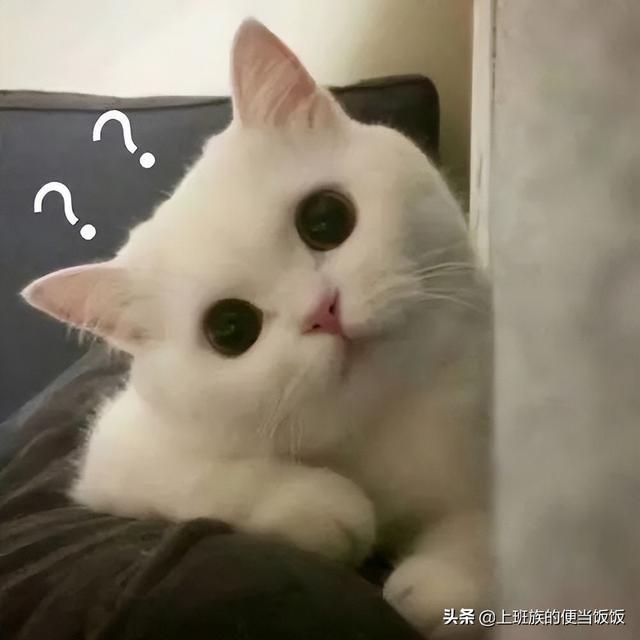 炒蛋怎么做最好吃，炒蛋怎么做最好吃窍门（大部分人不知道鸡蛋做法）