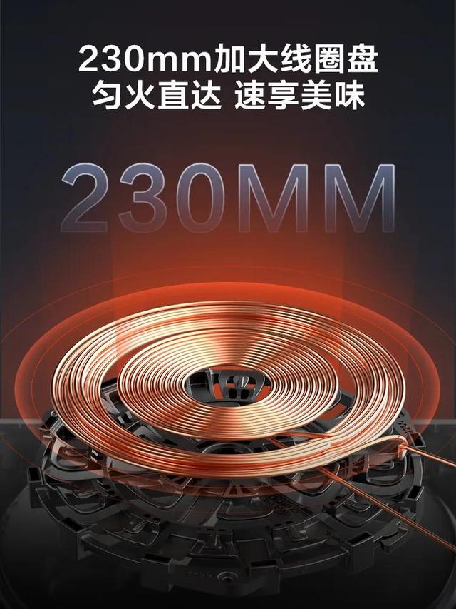 小电磁炉价格，小型电磁炉简介（几十块钱跟几百块钱的电磁炉区别在哪里）