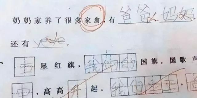 敷衍了事的意思，敷衍了事什么意思（小学生提交敷衍式作业）