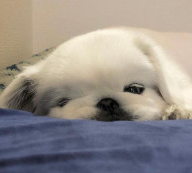 2022好听又内涵的繁体字个性签名 失去总比拥有来得快，2022好听又内涵的繁体字个性签名（2022朋友圈一句话经典文案）