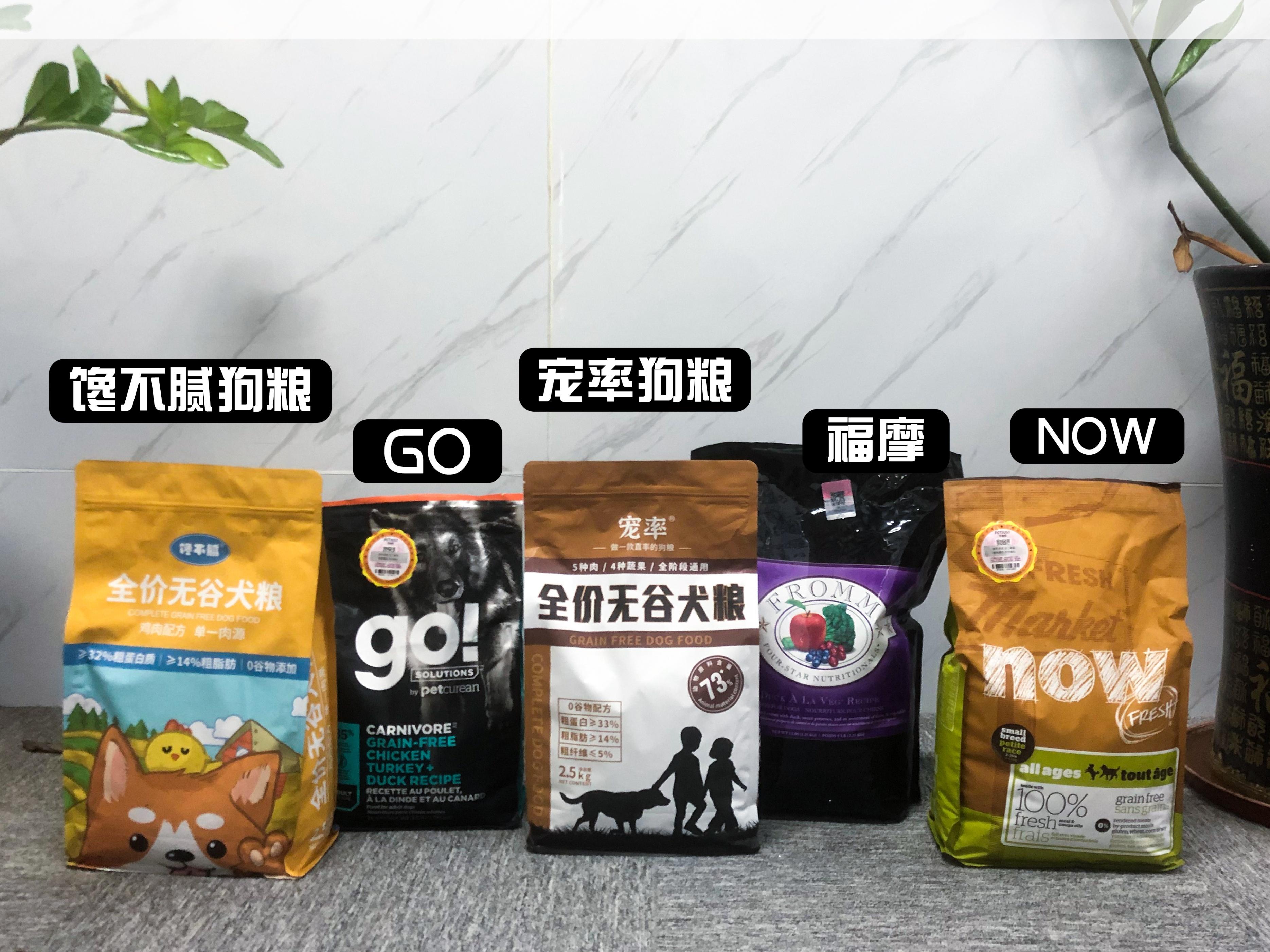 拉布拉多犬的价格(拉布拉多价格多少钱一只幼犬)