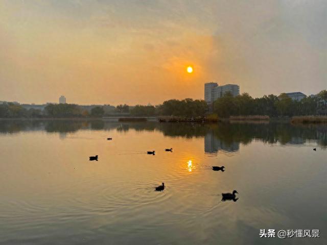 北京二环里居然藏着一个湿地公园，地铁直达，免费却少有人知！
