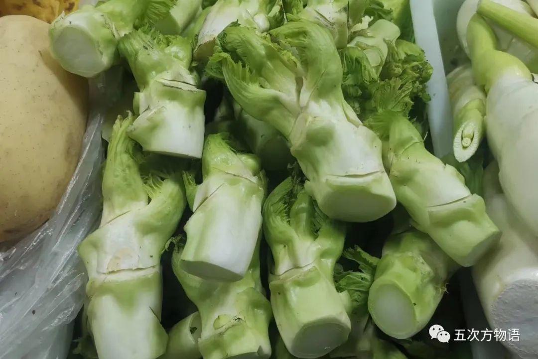 正宗的茎菜有哪些?