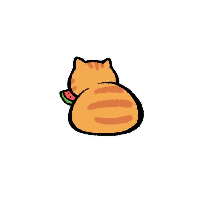 沫兮 卡哇伊可爱猫咪头像微信，沫兮 卡哇伊可爱猫咪头像（生活会奖励你一个新开始）