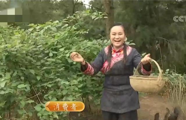 梦见好多鸡蛋捡鸡蛋是什么意思，梦见捡好多鸡蛋什么意思（湖南男子承包1200亩荒山）