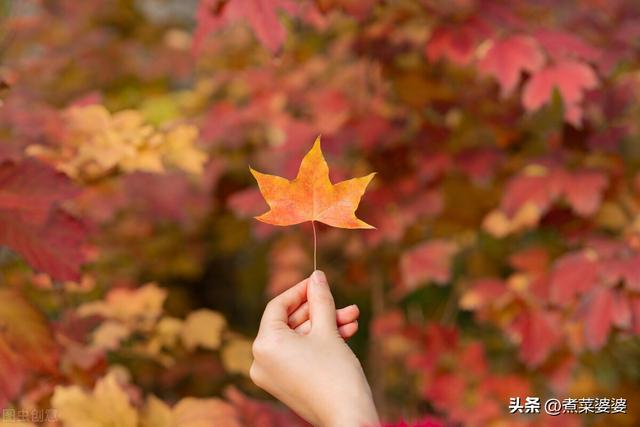 酸性水果有哪些，酸性水果和蔬菜有哪些（入秋别忘多吃2种酸果）