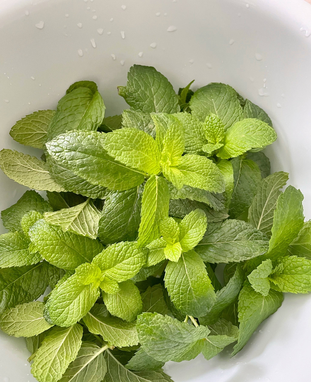 薄荷喜阴还是喜阳，薄荷喜欢酸性还是碱性（“2点”要充足）