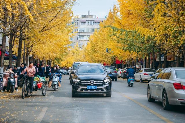 昆明有啥好玩的，昆明市区有什么好玩的（5个不出昆明便宜又好玩的打卡地推荐）