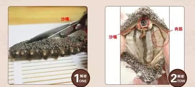 干海参泡发的正确方法，干海参泡发的正确方法视频（最全面的干海参泡发方法）