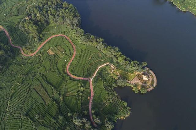 雅安旅游必去景点推荐，雅安这三条红色旅游精品线路值得一看