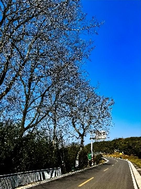 铜仁有哪些旅游景点免费，贵州最值得去的6个国家5A级景区