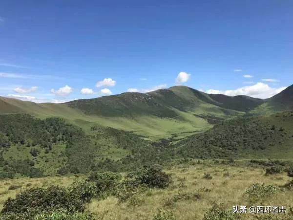 大理海拔多少米(高原最多只能待几年)