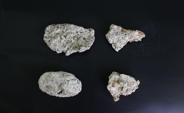 麝香猫多少钱一只，麝香猫咖啡（盘点世界上的天价分泌物）