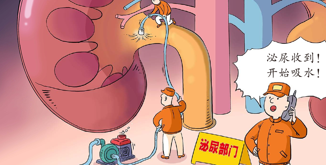 人体含水量百分比最高的器官是，人体含水量百分比最高的器官是什么（缺水时，身体各器官发生了什么）