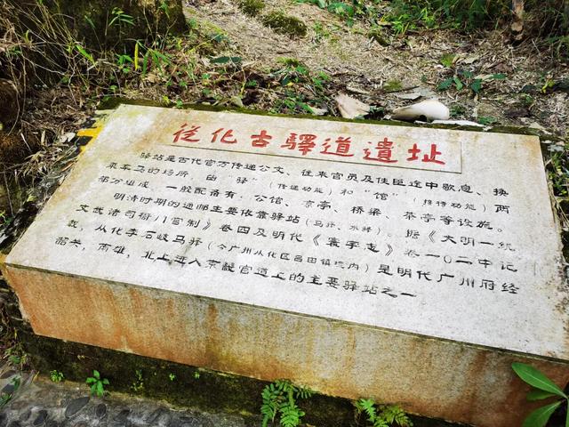 从化旅游景点大全，从化一日游旅游攻略大全（打卡吕田鹰嘴桃花+罗洞工匠小镇麦浪+莲麻小镇）